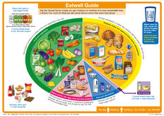 The New Eatwell Guide and NDR-UK